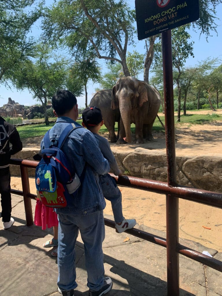 Theme Park Babysitting at VinWonders & Vinpearl (Real Family Video)